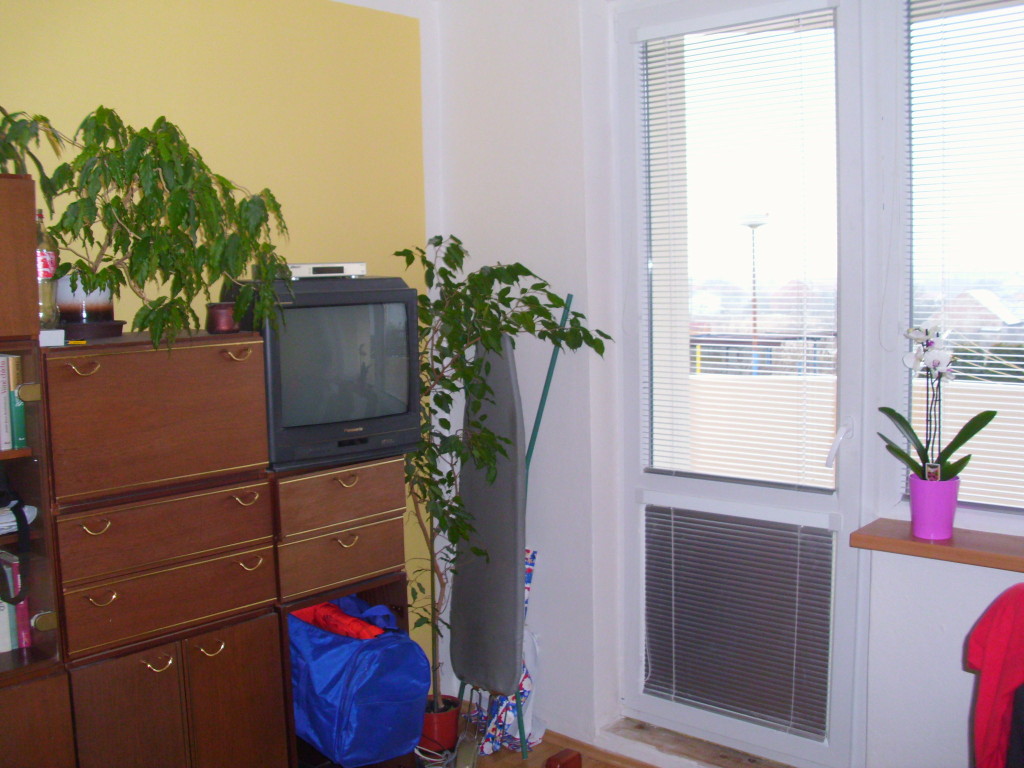 Stěhování bytu 2+1 v Brně